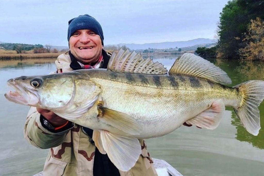 Jak přilákat okouny tipy a triky pro úspěšný lov TopDen cz