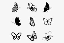 Symbol motýľa